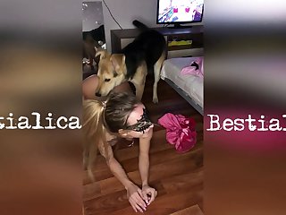 Free dog porn videos
