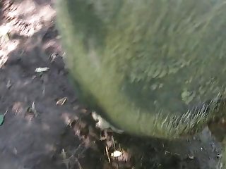 We Threw The Snacks In Our Lunch Box Little By Little And Made Them To Follow