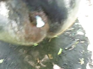 We Threw The Snacks In Our Lunch Box Little By Little And Made Them To Follow