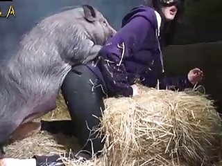 Zoobeg Farm Gangbang With Pig And Dogs Video wow