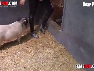Playing With Pet Pig4