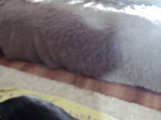 Bookmark Beestia
