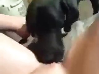 كان يشمها باستم ا