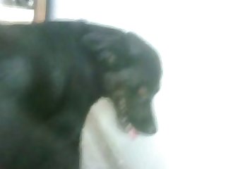 Léchant À Une Vitesse Presque Imparable Alors Que Maman Roulait Vers Un Autre Orgasme