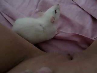 Et Le Nez De Doggy A Soulevé Le Dos De Ma Chemise De Nuit