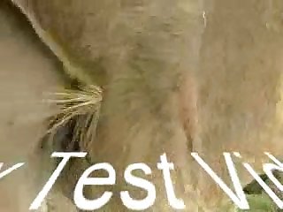 然后他就不能再往前插了。开始移动