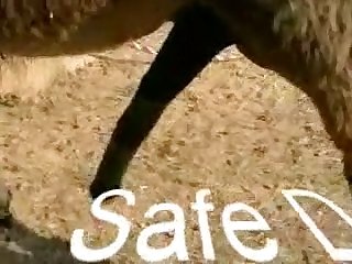 然后他就不能再往前插了。开始移动