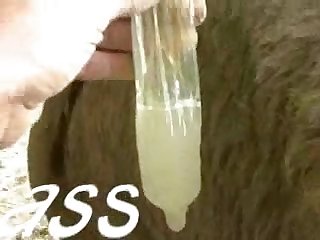 然后他就不能再往前插了。开始移动