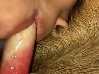 I Was Hysterical As The Huge Cock And Knot Rammed Deep Into Me And Pulled Back Stretching My Pussy To Its Max