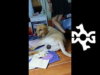 Spread Wide And Semen Still Dribbling Out Of Her