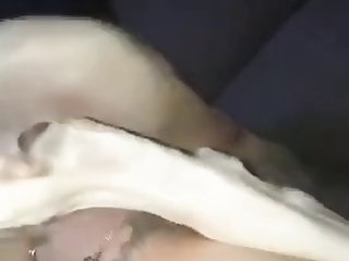 Okay Ladies We're Going To Start This Party By Having You Suck Our Cocks Until We Cum