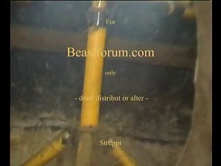 She Then Got The Two Padlocks And Secured Them Where The Chain Met