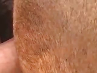 new part porn videos page 1 at beestia.com