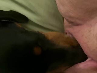 Dog Licks A Fat Bbw Pussy