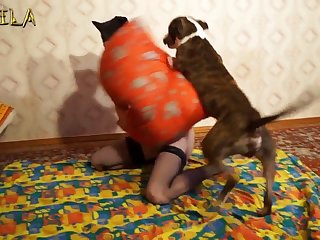 Zoofilia Gay Porno