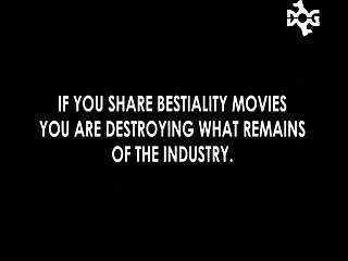 Animal Sex Video 2025