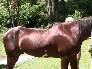 Boys And Animal Sex Video