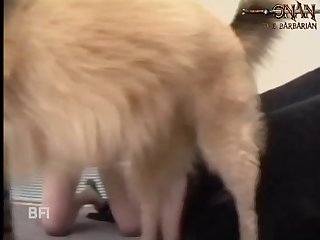 Animal Sex Wattpad