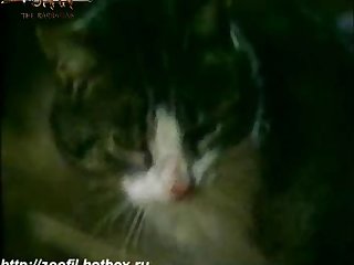 Rashmika Mandanna Sex Scene In Animal