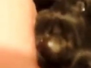 Xxnx Sex With Animal