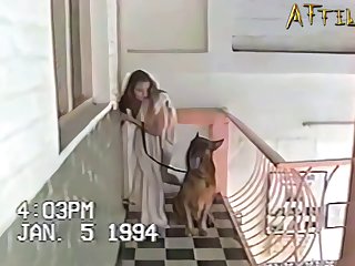 Animal Sex Videos