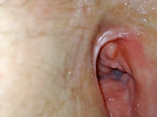 Gay Having Sex With Animal