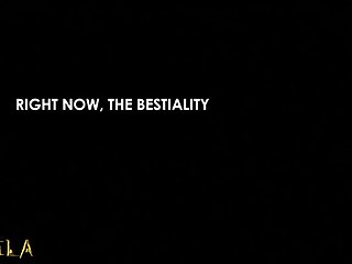 Animal Sex Simulator