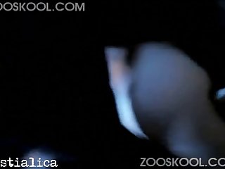 Human Have Sex Animal