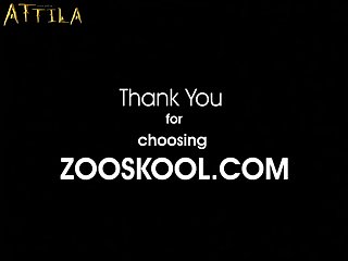 Bbw Animal Sex Video