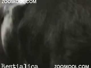 Porn With Animal Sex