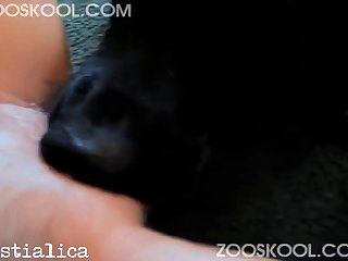 Sex With Animal 2025