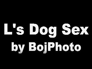 Best Zoo Tube