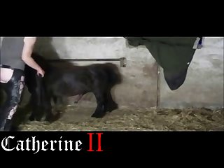 Animal Movie Tripti Porn