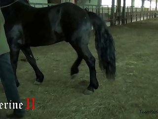 Animal And Milf Porn