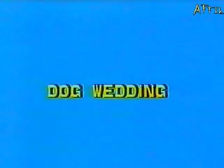 Woman Animal Sex Tumblr