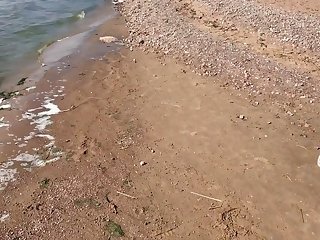 Porn Animal Sex Videos