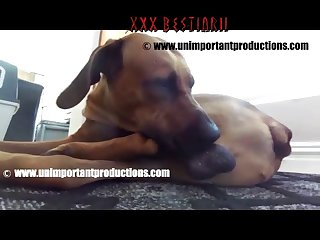 Luxuretv boar Porn
