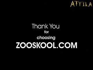 Animal Sex With Women