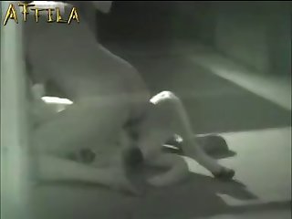 Zoo Porn Big