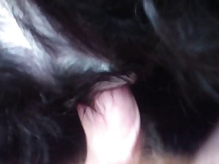 Jessica Monaco Zoo Porn