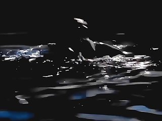 Dog Porn Ztube