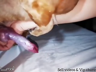 Girls Suck Dog Porn