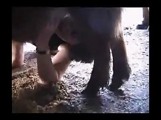 Zoophilie V