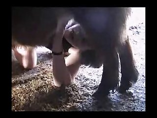 Zoophilie V