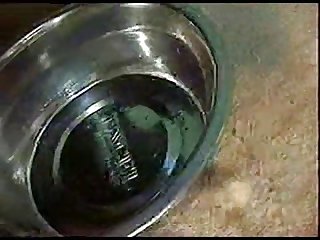 Girl Dog Porn Tube