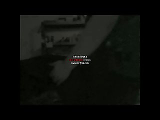 New Dog Porn 2020