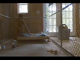 Zoowi Dog Porn
