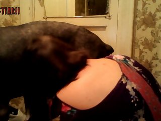 Precious Slave Dog Porn
