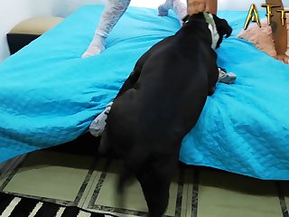 Kimberly Moss Dog Porn