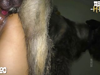 Girl Getting Licked By Dog Porn